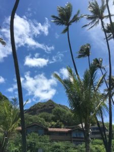 ダイヤモンドヘッドのパワーを間近で感じる～【レアヒビーチパーク】