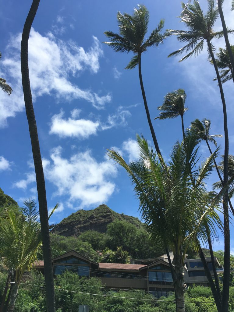 ダイヤモンドヘッドのパワーを間近で感じる～【レアヒビーチパーク】