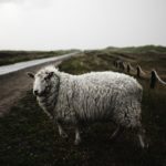 【簡単解説】〜お名前.com・エックスサーバー・WordPressを使ったブログの始め方