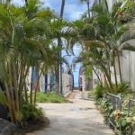 ハワイ旅行~事前検査プログラム開始!