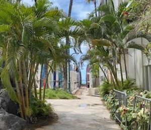 ハワイ旅行～事前検査プログラム開始！