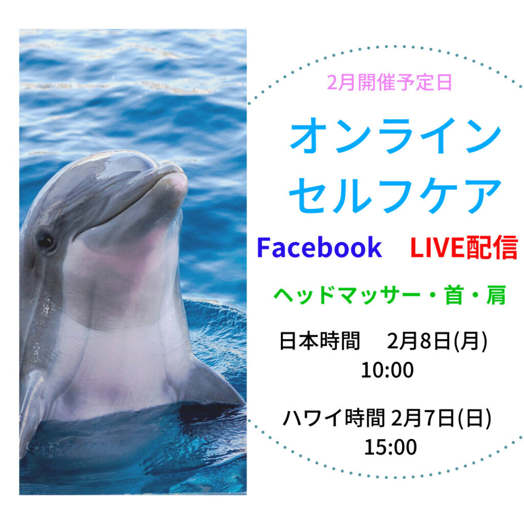 無料オンラインクラス〜🐬2月開催予定日🐬