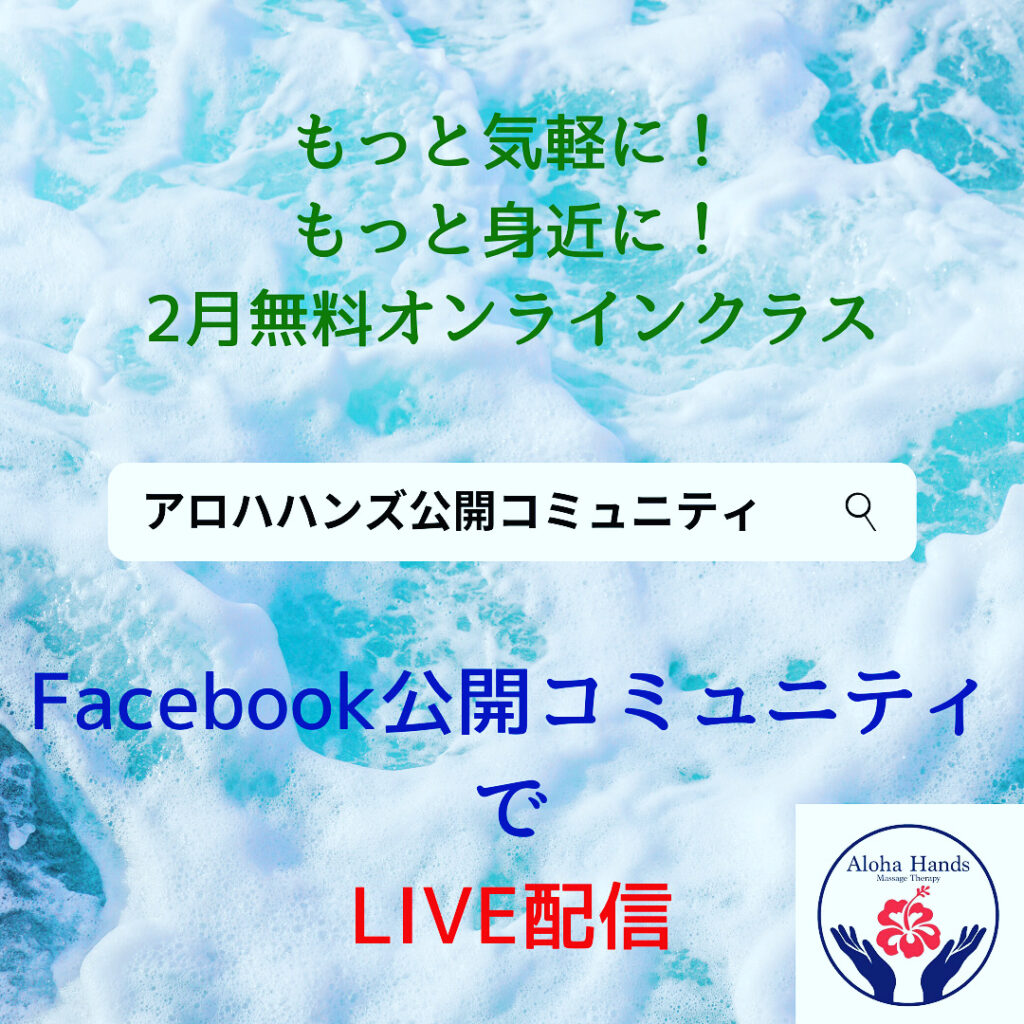 🌺2月の無料オンライスクールは、FacebookのLIVE配信となります🌺